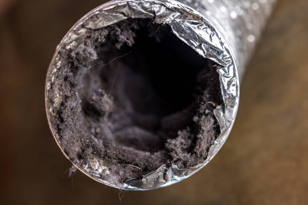 Best Emergency Air Duct Cleaning  in East Stroudsburg, PA